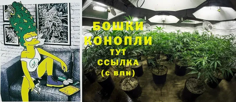 Канабис SATIVA & INDICA  где можно купить   Ивангород 